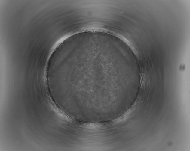 X0000097621074200803071505