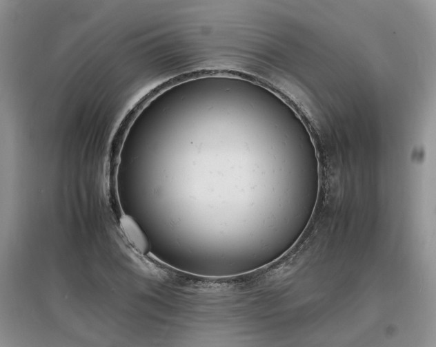 X0000097621076200803071505