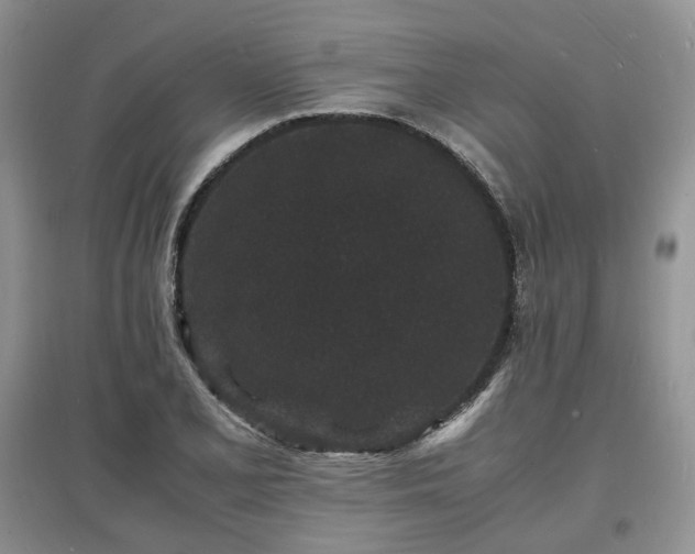 X0000097621077200803071505