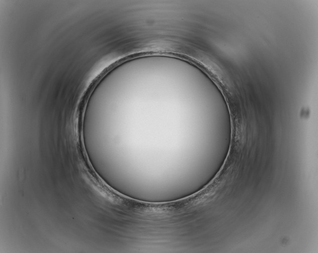 X0000097621078200803071505