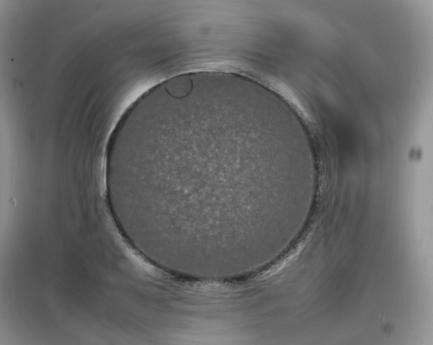 X0000097621079200803071505