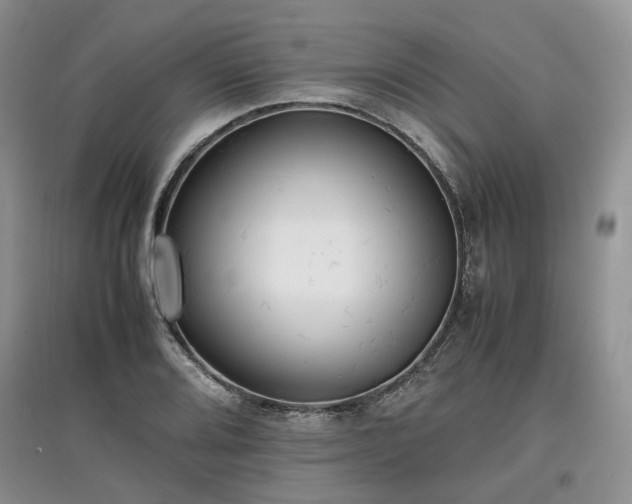 X0000097621080200803071505