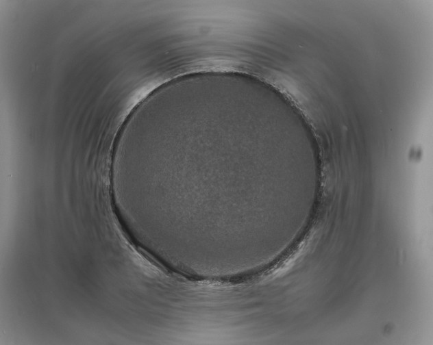 X0000097621081200803071505