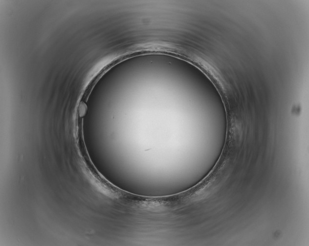 X0000097621082200803071505