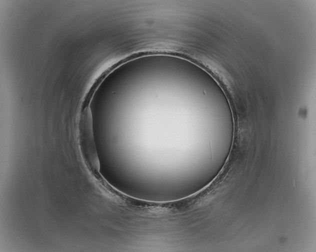X0000097621085200803071505