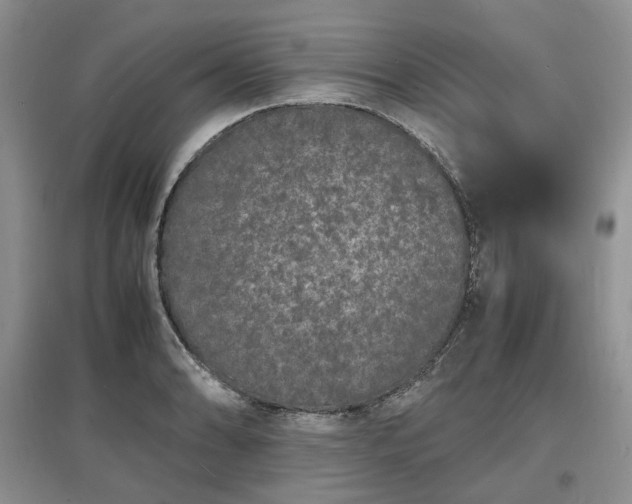 X0000097621086200803071505