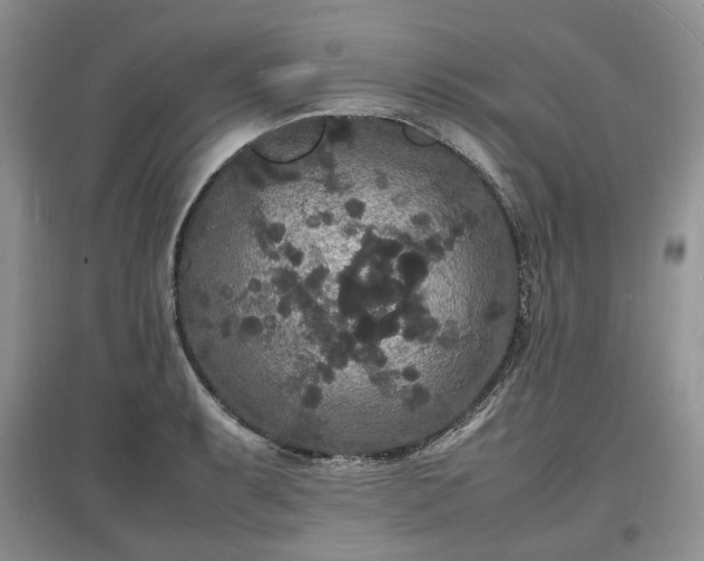X0000097621087200803071505
