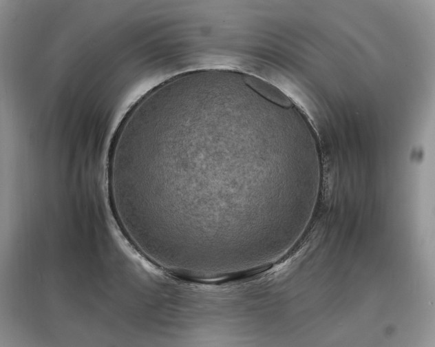 X0000097621088200803071505