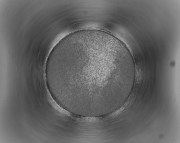 X0000097621090200803071505