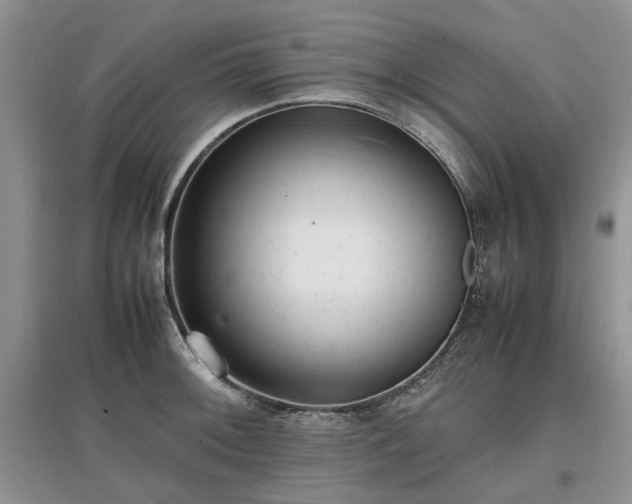 X0000097621092200803071505