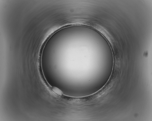 X0000097621093200803071505