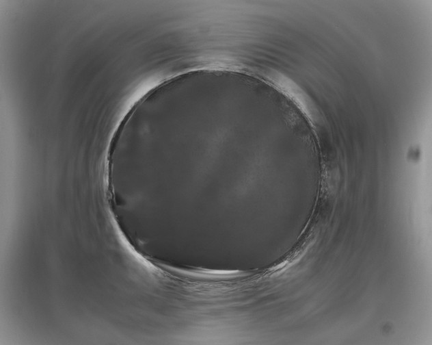 X0000097621095200803071505