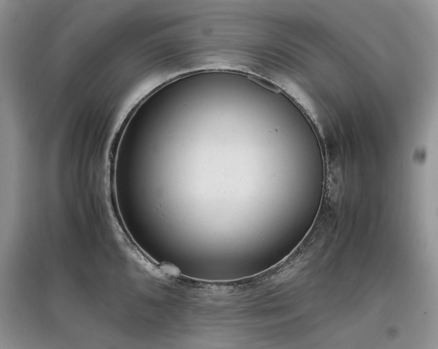 X0000097621096200803071505