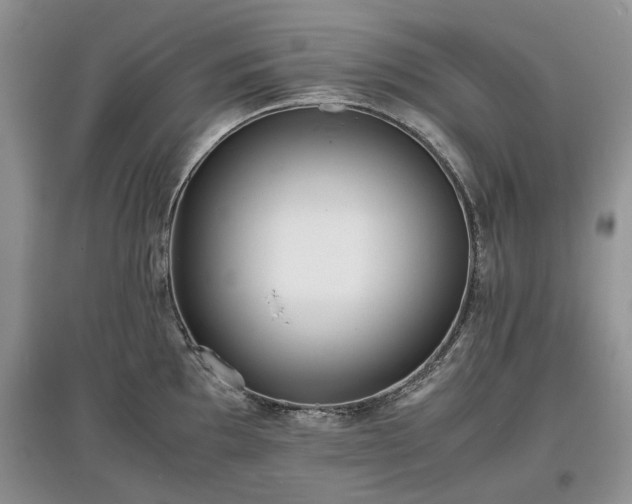 X0000097621097200803071505