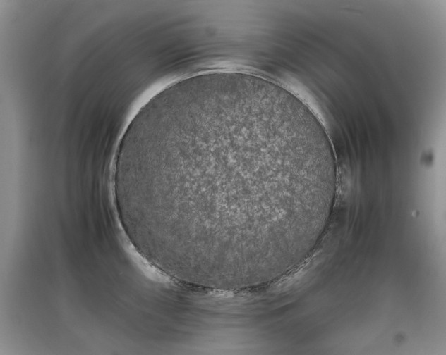 X0000097621098200803071505