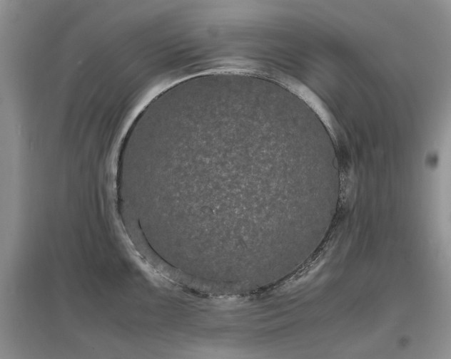 X0000097621099200803071505