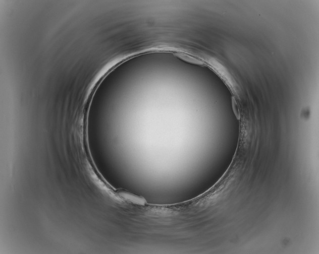 X0000097621100200803071505