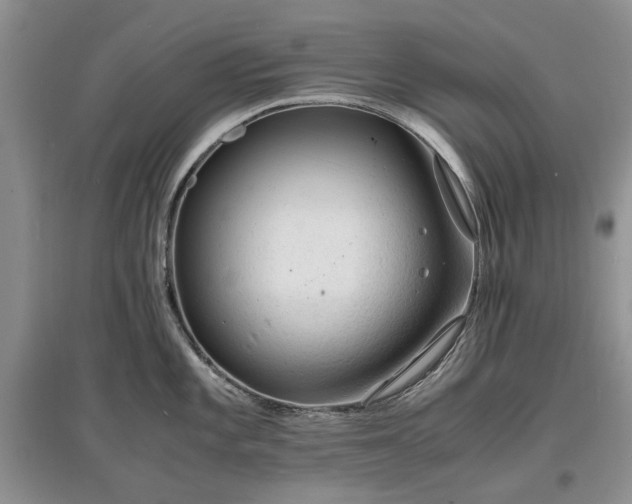 X0000097621101200803071505