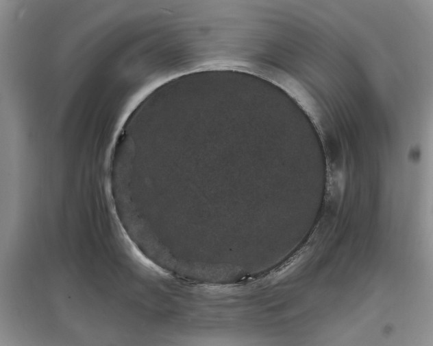 X0000097621102200803071505