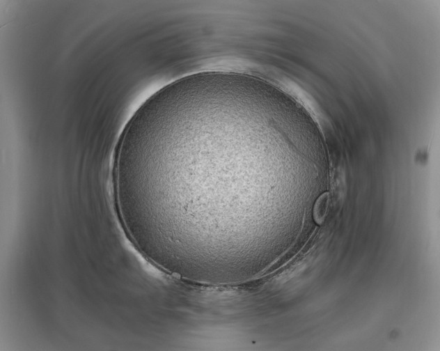 X0000097621103200803071505
