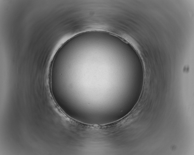 X0000097621104200803071505