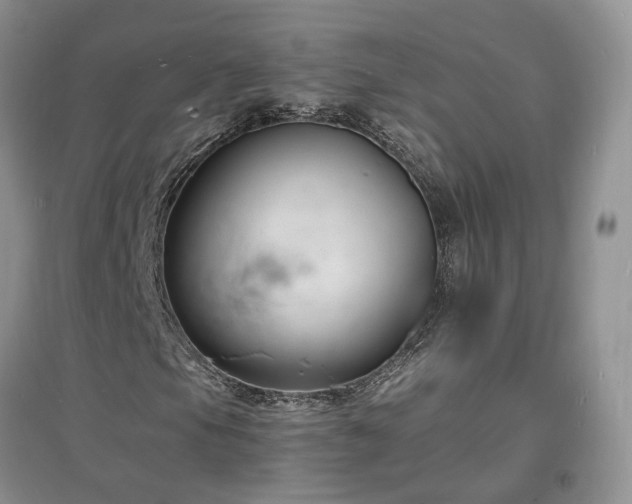 X0000097621105200803071504