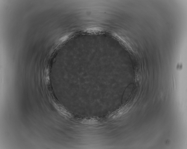 X0000097621106200803071504