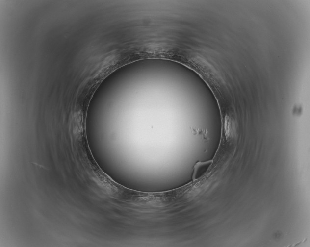 X0000097621107200803071504