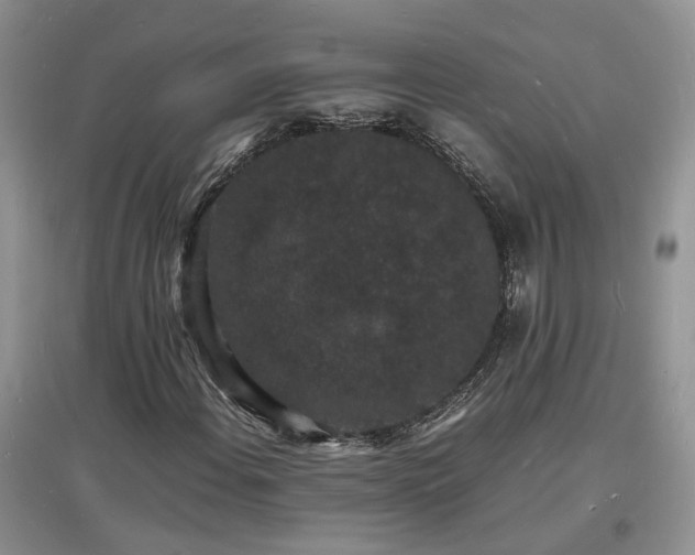 X0000097621108200803071504