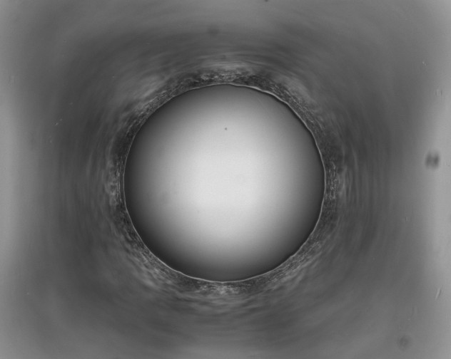 X0000097621109200803071504