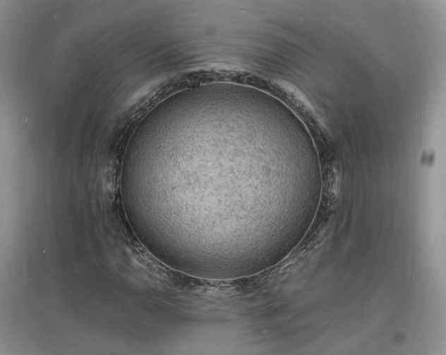 X0000097621110200803071504