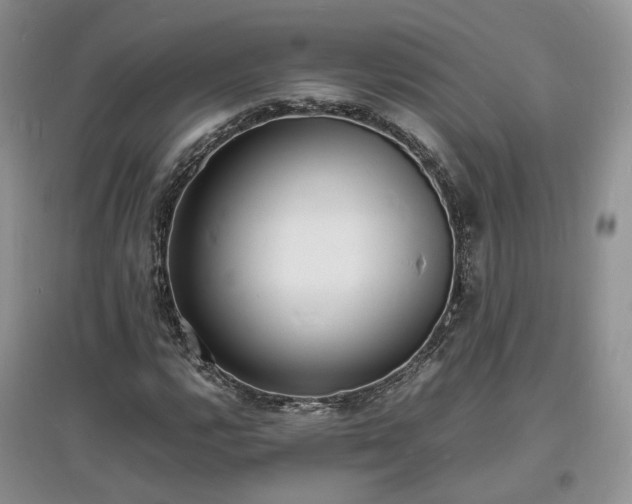 X0000097621112200803071504