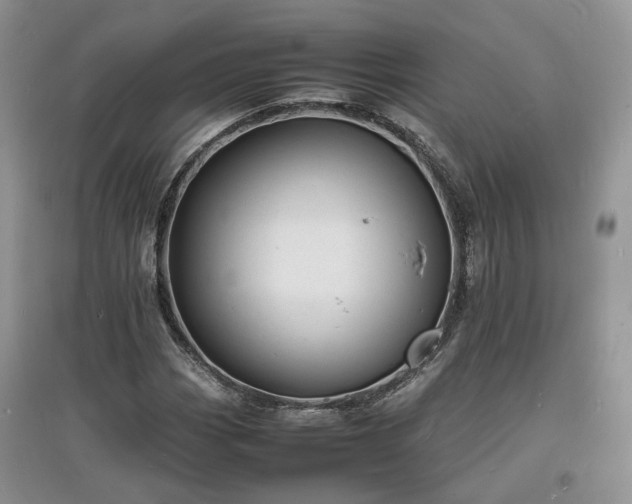 X0000097621113200803071504