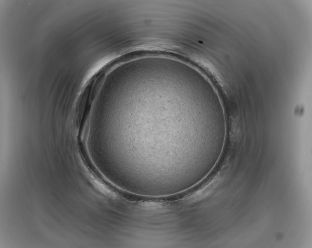 X0000097621114200803071504
