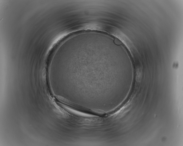 X0000097621115200803071504