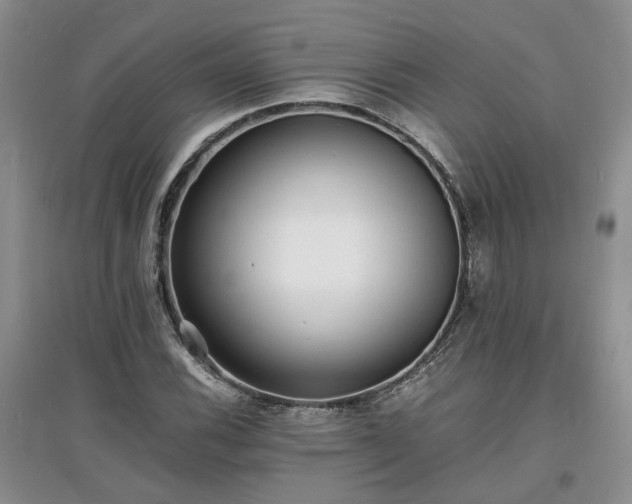 X0000097621116200803071504