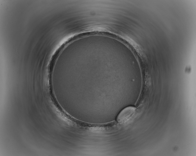X0000097621118200803071504