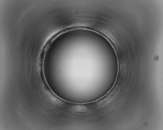 X0000097621119200803071504