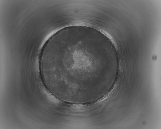 X0000097621120200803071504