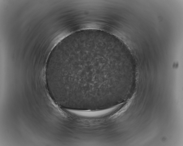 X0000097621121200803071504