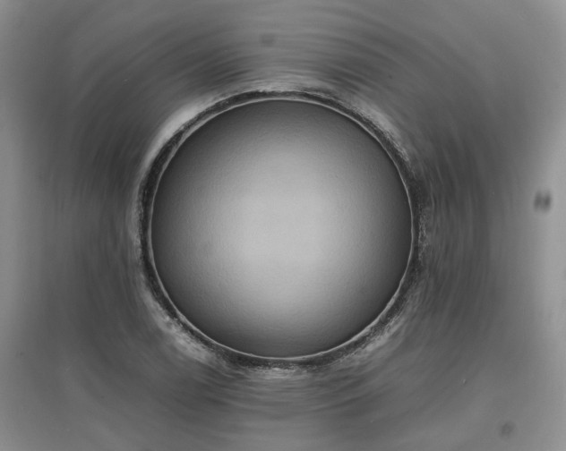 X0000097621122200803071504