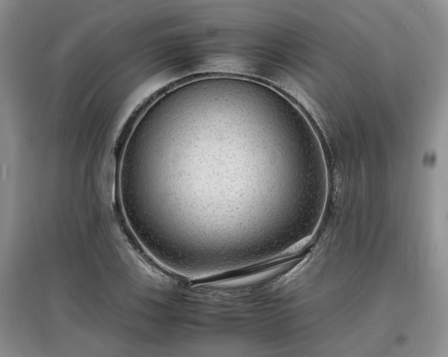 X0000097621123200803071504