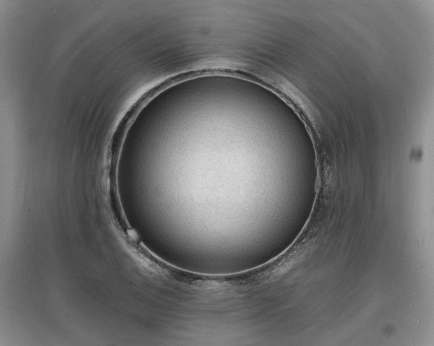 X0000097621124200803071504