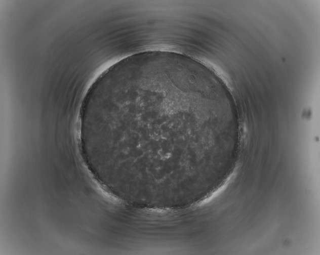 X0000097621125200803071504