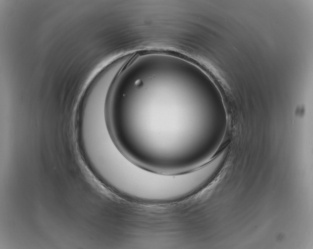 X0000097621126200803071504