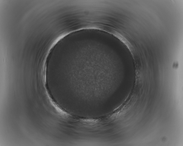 X0000097621127200803071504
