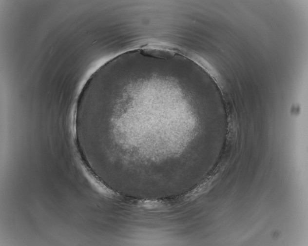 X0000097621128200803071504