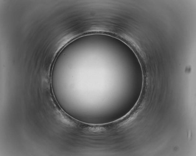 X0000097621129200803071504