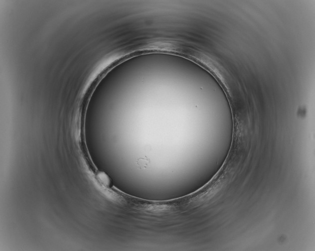 X0000097621131200803071504