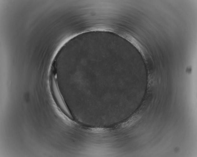 X0000097621132200803071504